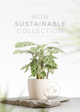 Sustainablecollection2022_thumb